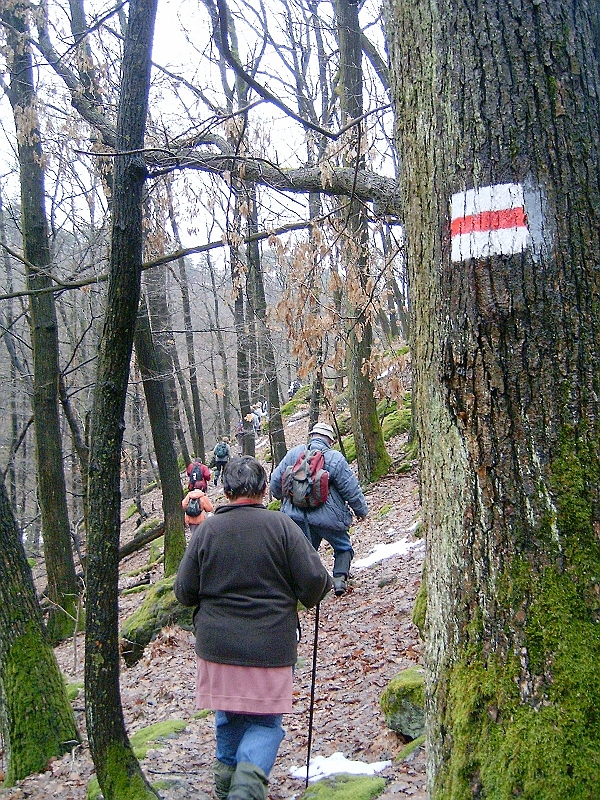 20100220 060.jpg
